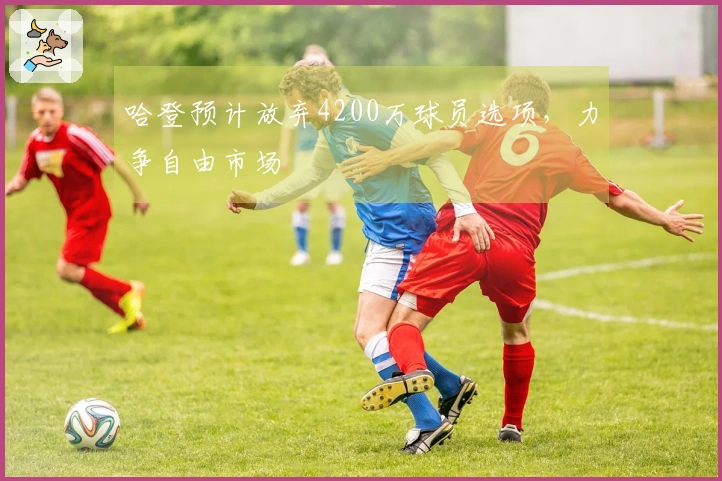 哈登预计放弃4200万球员选项，力争自由市场