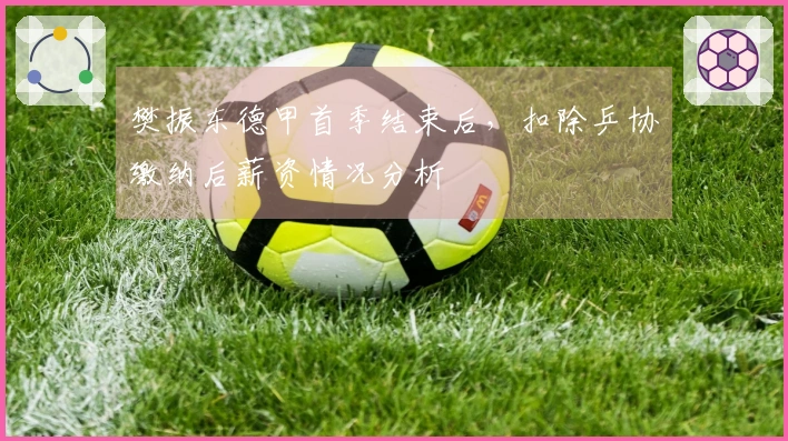 樊振东德甲首季结束后，扣除乒协缴纳后薪资情况分析